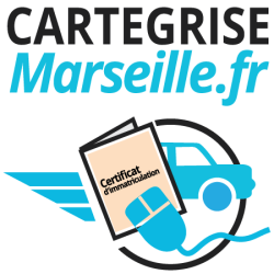 Démarche en ligne pour faire sa carte grise ou son permis de conduire.